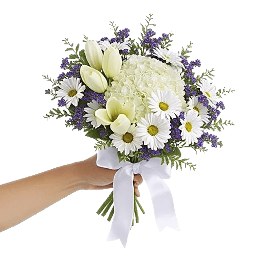 Blossom Harmony Display