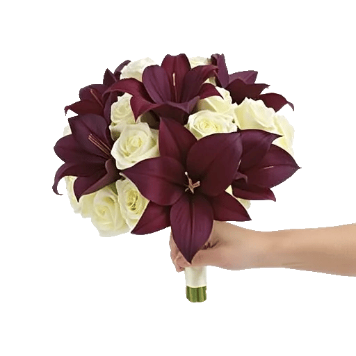 Elegant Calla Lilies