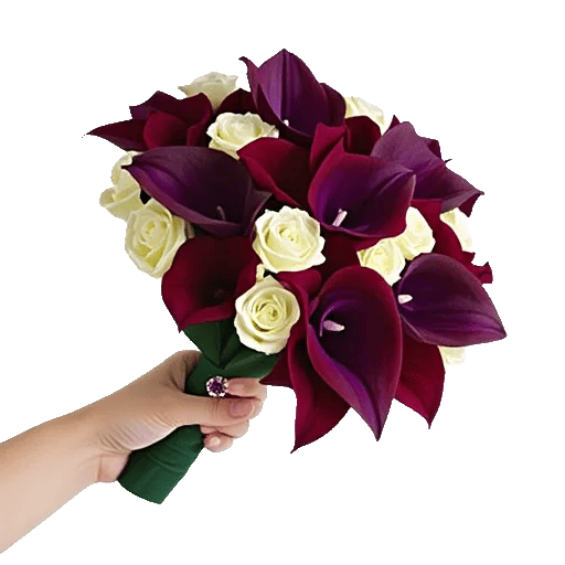 Elegant Calla Lilies