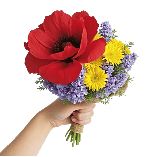 Petal Harmony Bliss