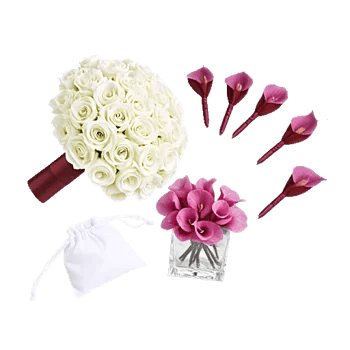 Elegant Calla Lilies