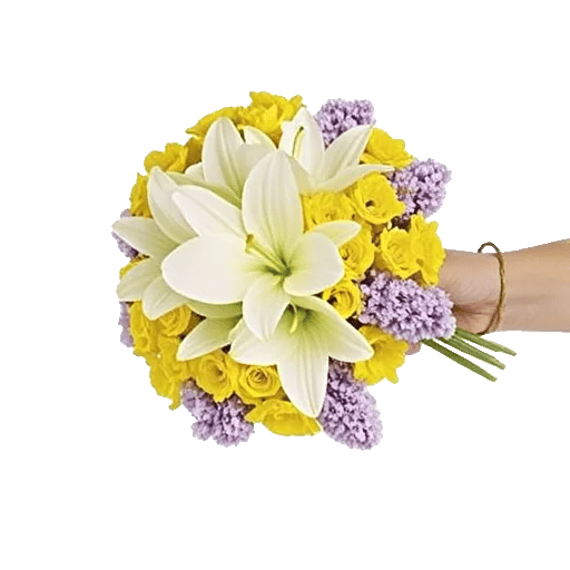 Blossom Harmony Display