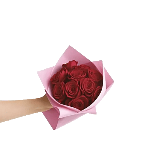 Crimson Rose Elegance