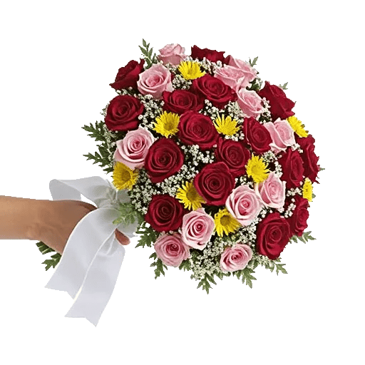 Blushing Rose Symphony