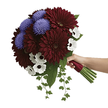 Crimson Blossom Harmony