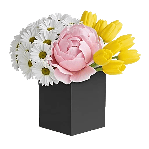 Petal Radiance Bliss