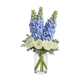 Lavender Bloom Grace