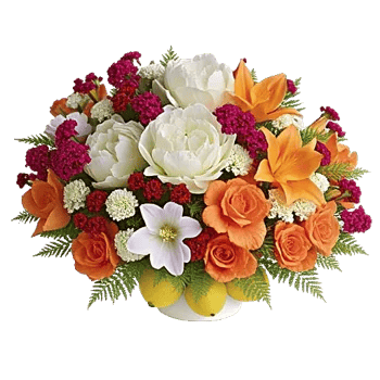 Delicate Petal Cascade