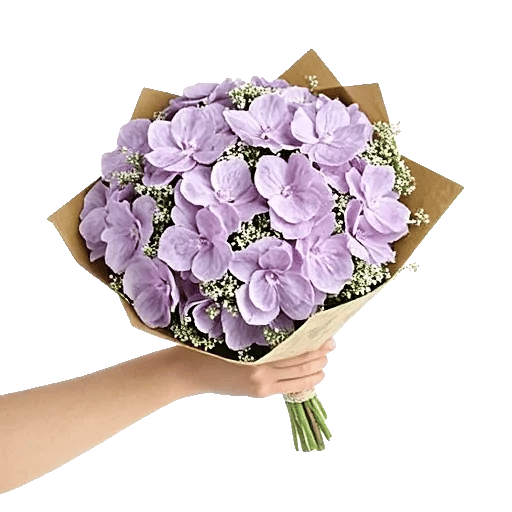 Serene Petal Harmony