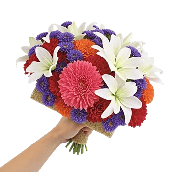 Coral Blossom Harmony