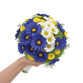 Blossom Petal Serenity