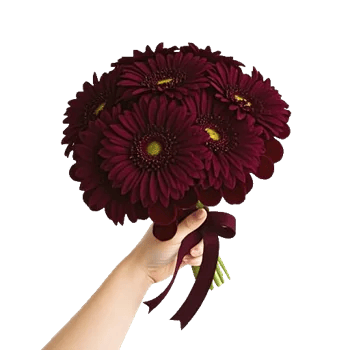 Ruby Petal Cascade