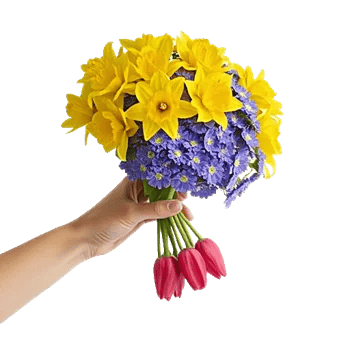 Blossom Harmony Display