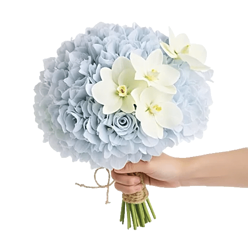 Serene Petal Harmony