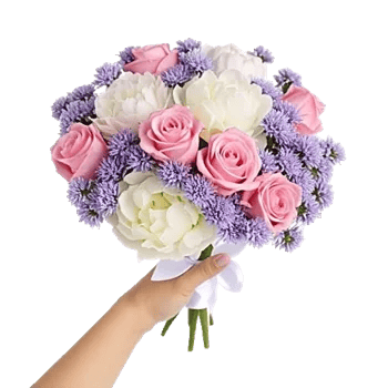 Pastel Pink Roses