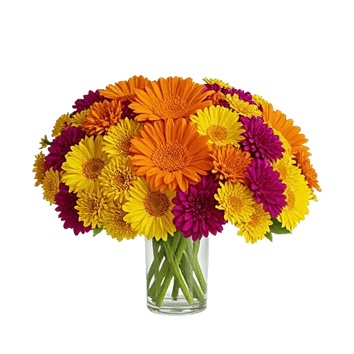 Petal Radiance Bliss