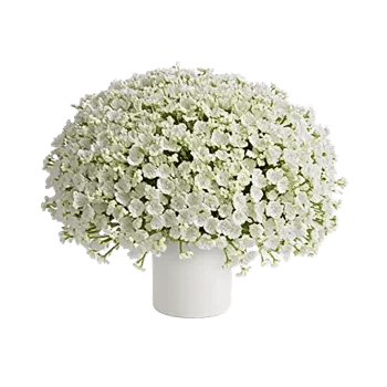 Blush Romantic Centerpiece