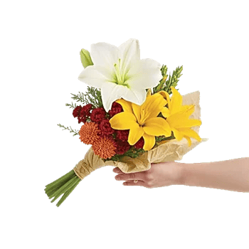 Blossom Harmony Display