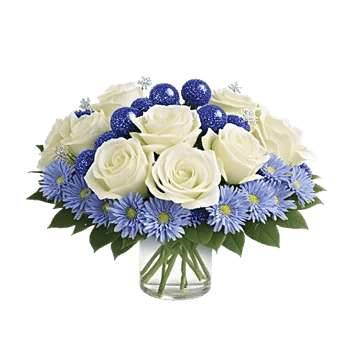 Elegant Blue Roses