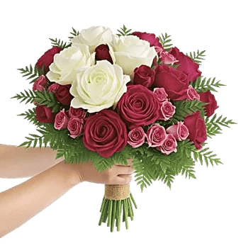 Delicate Petal Cascade