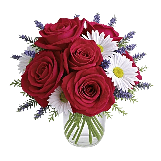 Crimson Rose Elegance