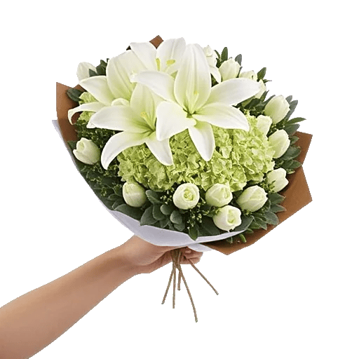 Elegant Calla Lilies