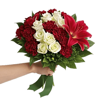 Blushing Rose Symphony