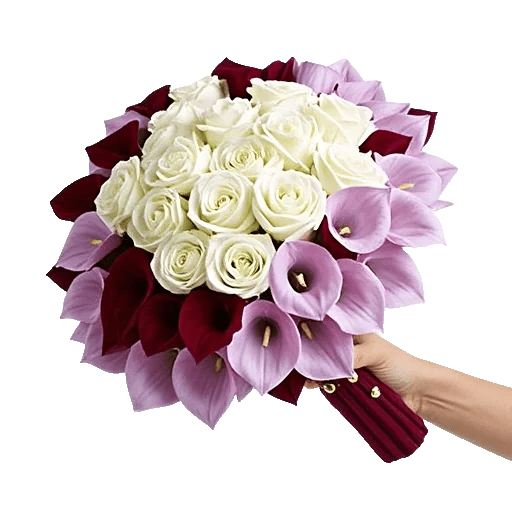 Elegant Calla Lilies