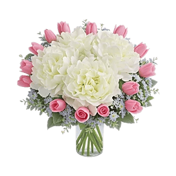 Serene Petal Harmony