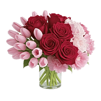 Petal Radiance Bliss