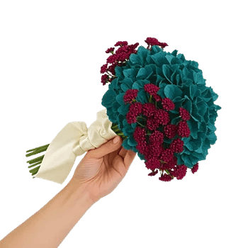 Serene Petal Harmony