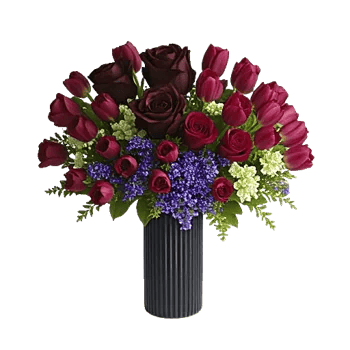 Velvet Tulip Display