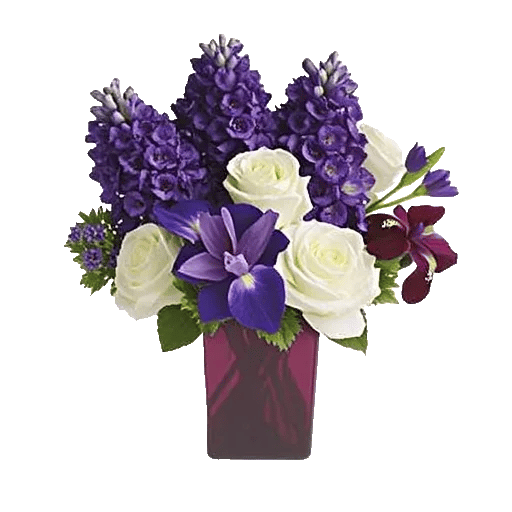 Ivory Blossom Radiance