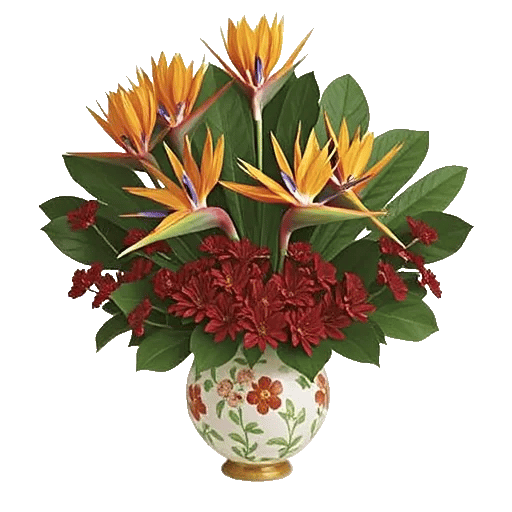 Tropical Sunflower Burst