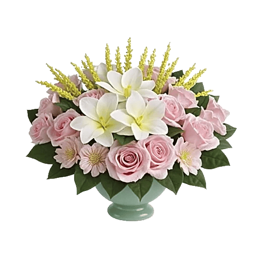 Serenity Orchid Bloom