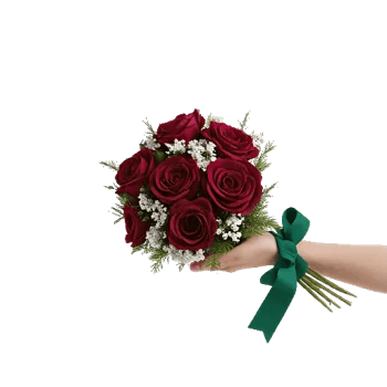 Crimson Rose Elegance