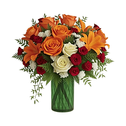 Radiant Rose Symphony