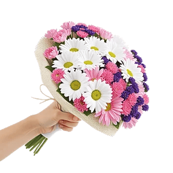 Blossom Harmony Display