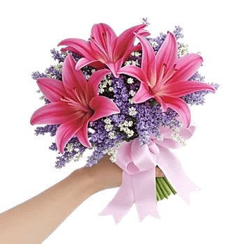 Blushing Rose Symphony