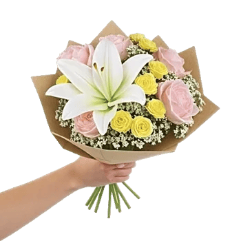 Blossom Harmony Display