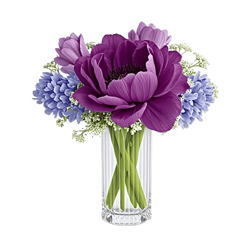 Ivory Blossom Radiance