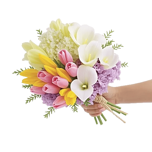 Blossom Harmony Display