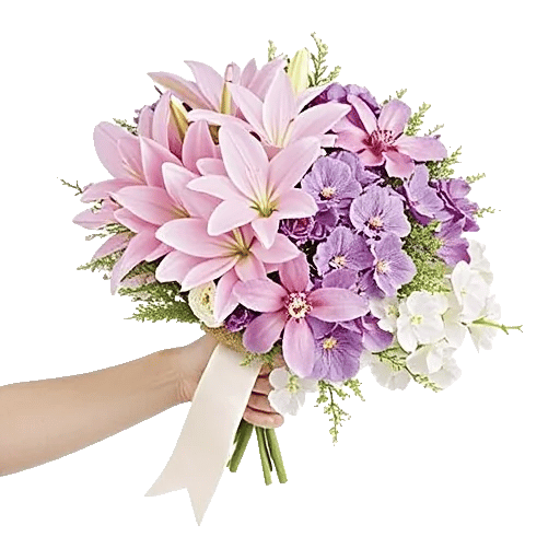 Elegant Calla Lilies