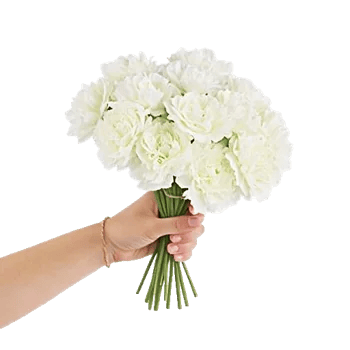 Delicate Petal Cascade