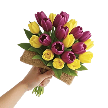 Velvet Tulip Display