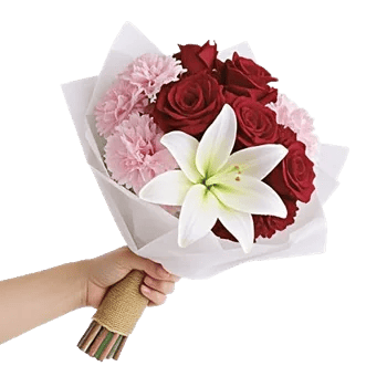 Blushing Rose Symphony