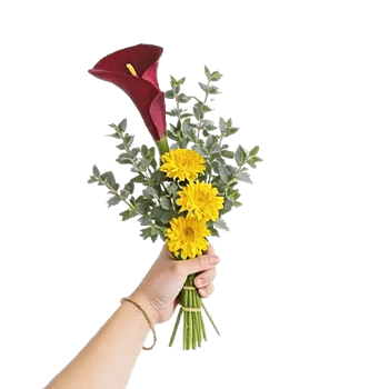 Elegant Calla Lilies