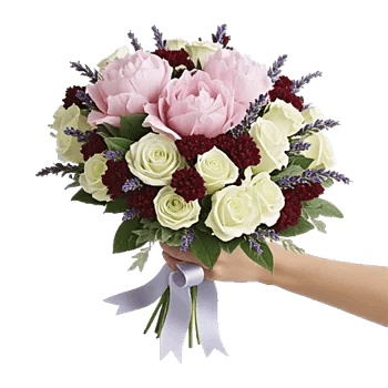 Peony Petal Harmony