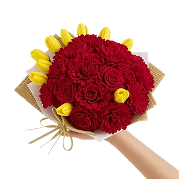 Scarlet Tulip Splendor