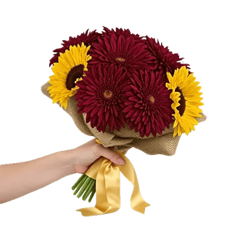 Radiant Bloom Cascade